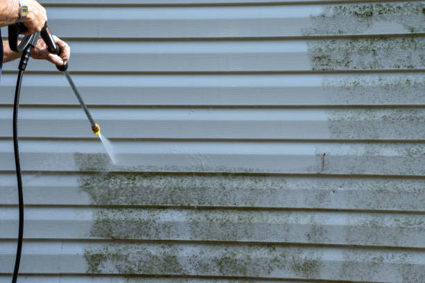 Best Residential Vinyl Siding Installation  in Farr West, UT